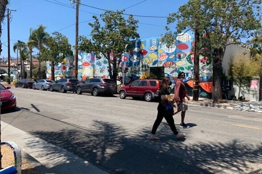 Exploring SB's vibrant Funk Zone murals
