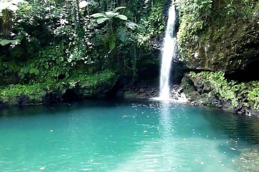 Show item 2 of 2. Half-Day South Coast Savaii Island Tour