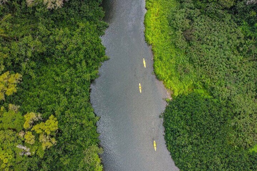 Guided Kayak Adventure on the Wailua River