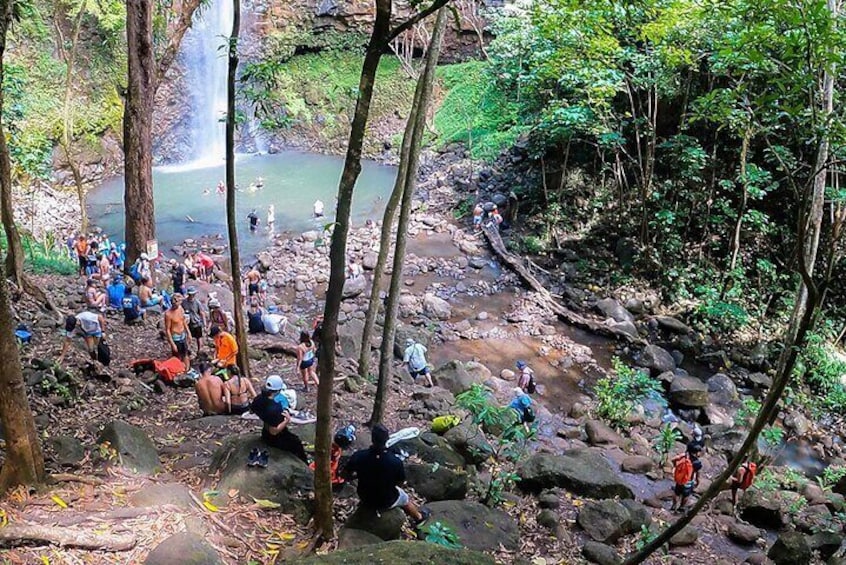 Guided Kayak Adventure on the Wailua River