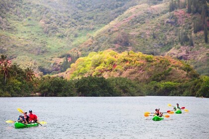 Guided Kayak Adventure on the Wailua River