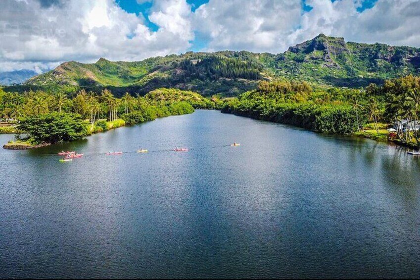 Guided Kayak Adventure on the Wailua River