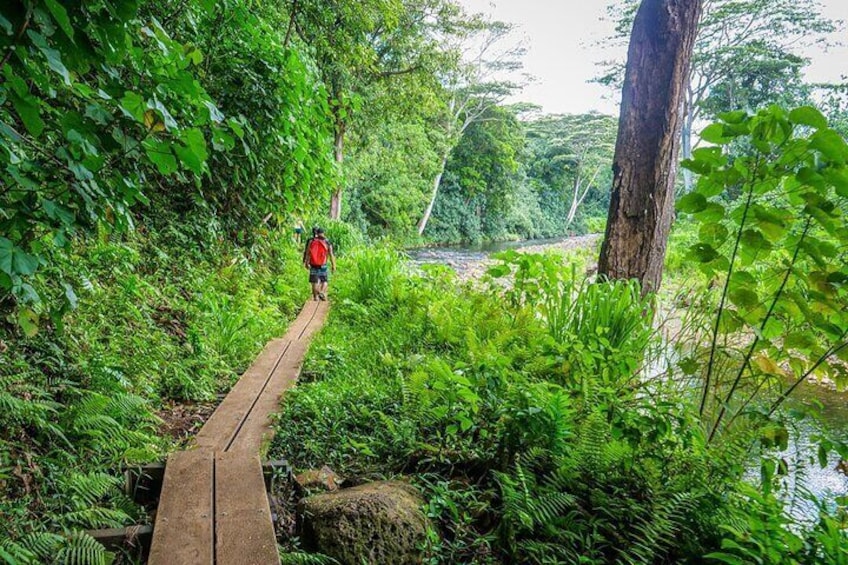 Guided Kayak Adventure on the Wailua River