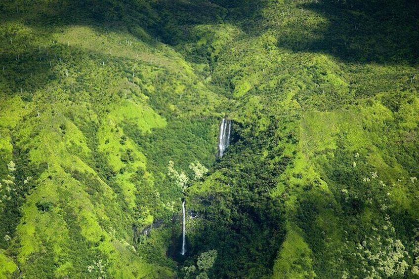 Hanalei Valley