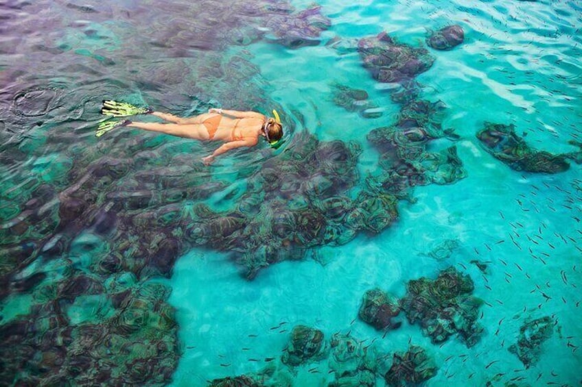 Kona Snorkel Adventure - Navy SEAL Zodiac Boat, 14 Guest Max!