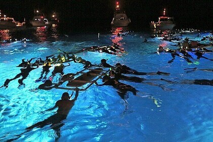 Snorkel nocturno mágico con mantarrayas en Kona: eco-tour para grupos peque...