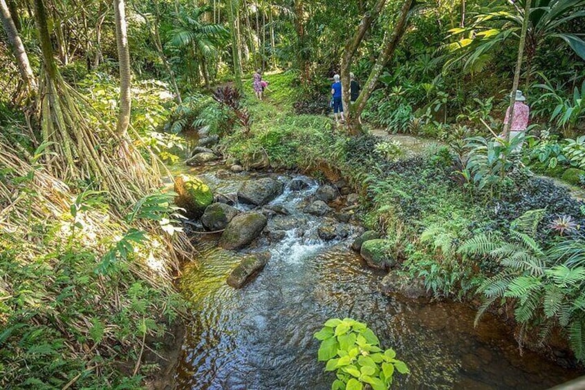 Skip the Line: Princeville Botanical Gardens Tour and Chocolate Tasting Ticket