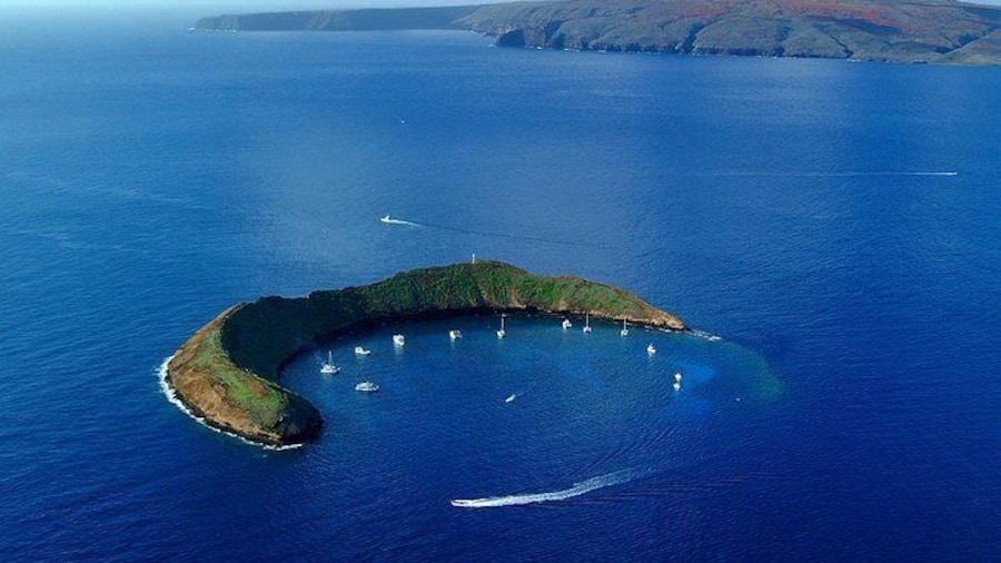 Molokini Island