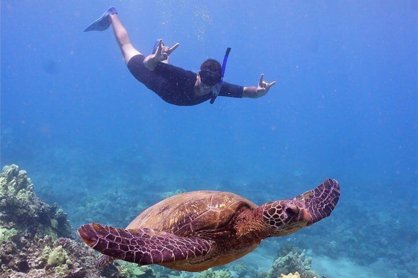 Molokini and Turtle Town Snorkeling Adventure Aboard Malolo from Ma'alaea Harbor
