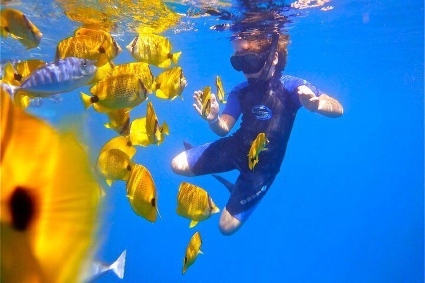 Fish loves kids!