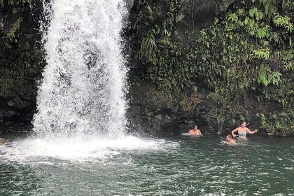 Small Group Road to Hana Adventure Tour with Pickup