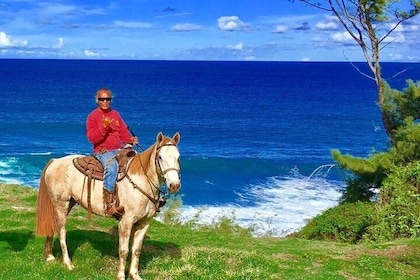 West Maui Mountain Waterfall and Ocean Tour via Horseback