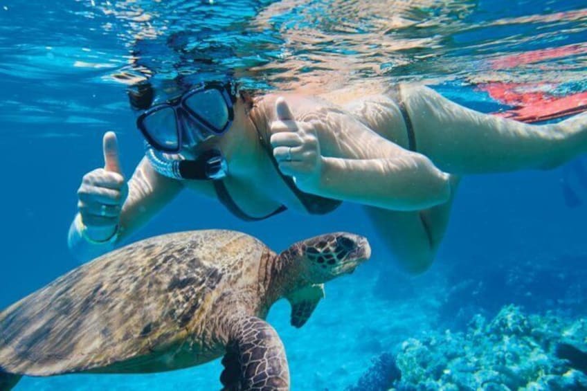 Snorkel with Turtles