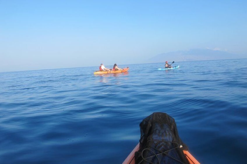 Makena Turtle Town Eco Adventure in Maui