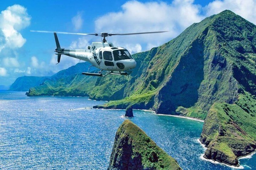 Oceanfront Landing 75-Minute Helicopter Tour