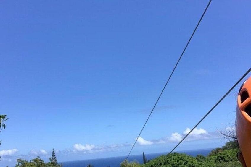 8 Lines Jungle Zipline Tour on Maui - Eco Tour