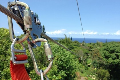 8 Lines Jungle Zipline Tour on Maui - Eco Tour