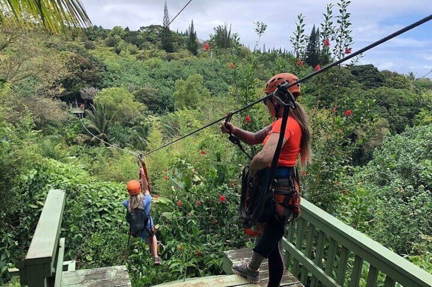 8 Lines Jungle Zipline Tour - Eco Tour