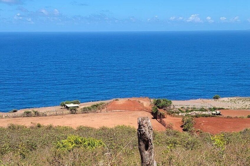 Maui Horseback-Riding Tour