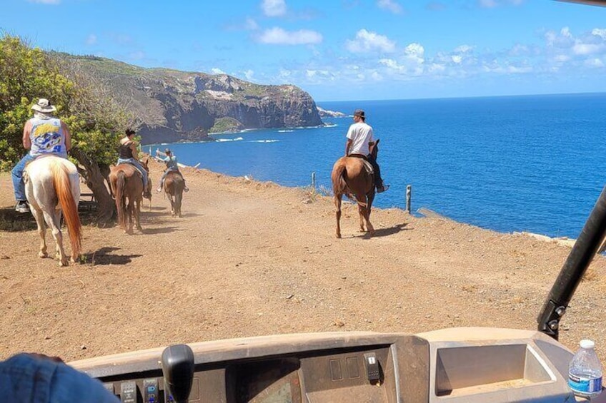 Maui Horseback-Riding Tour