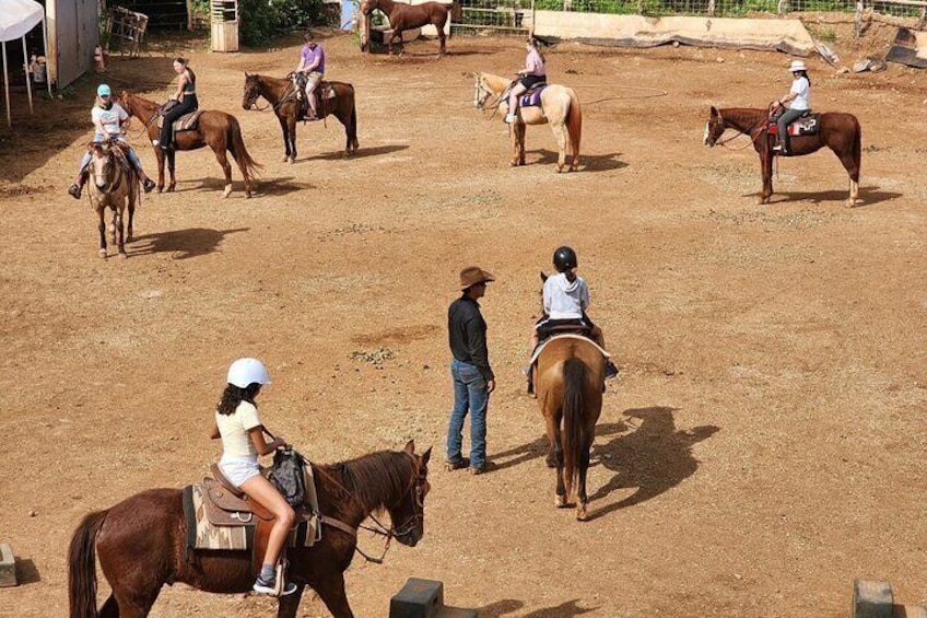 Maui Horseback-Riding Tour