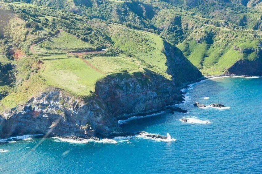 Maui Horseback-Riding Tour