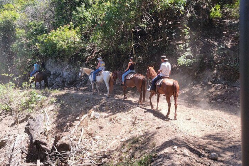 Maui Horseback-Riding Tour