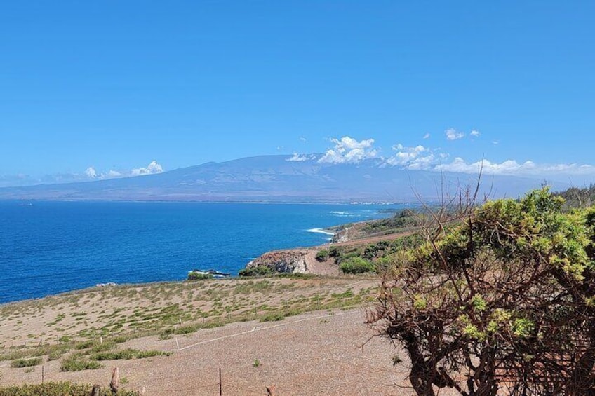 Maui Horseback-Riding Tour