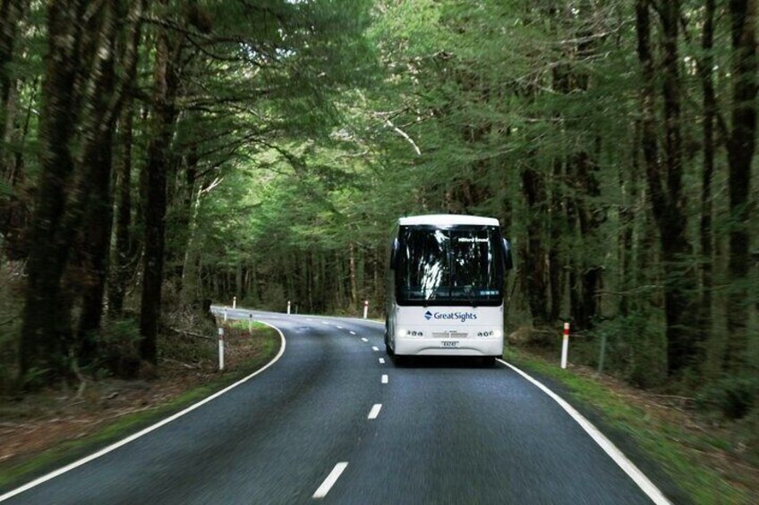 Milford Sound Full-Day Tour from Te Anau