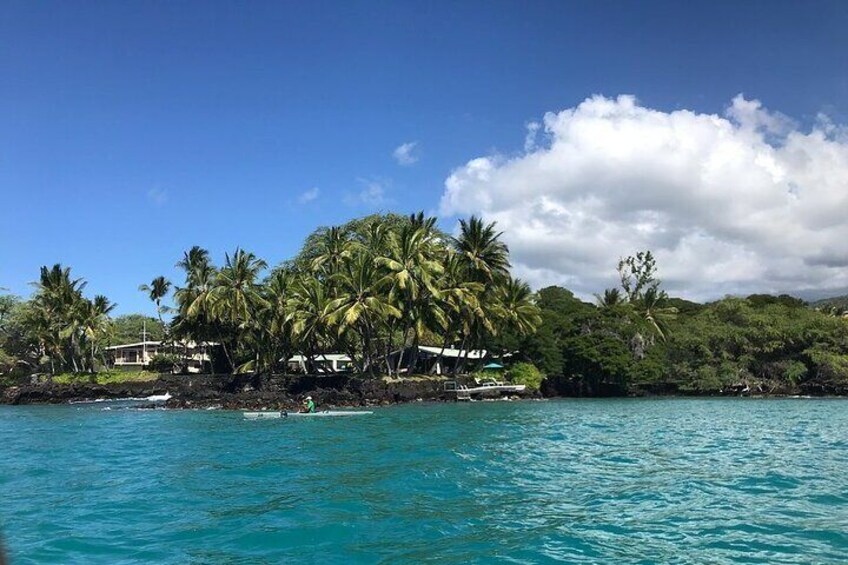 Swim with Dolphins on Big Island Kailua-Kona Hawaii