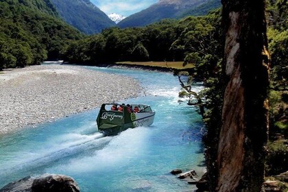 Jet Boat and Wilderness Walk Tour from Wanaka