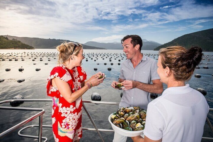 Greenshell Mussel tasting on board vessel