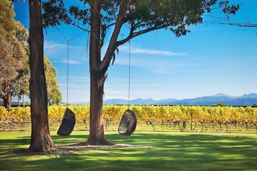 World-famous Marlborough wineries & vineyards