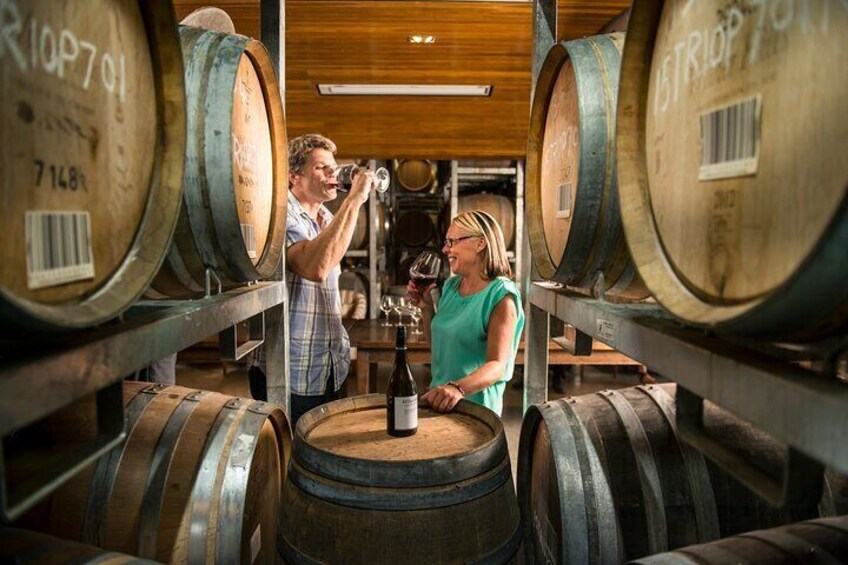 Wine tasting in barrel room at cellar door