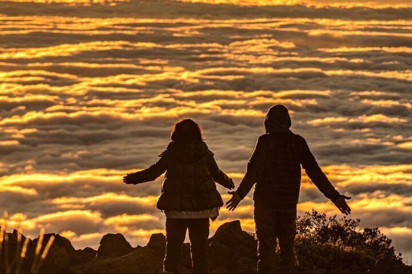 Majestic Haleakala Sunrise Tour with Pick-up