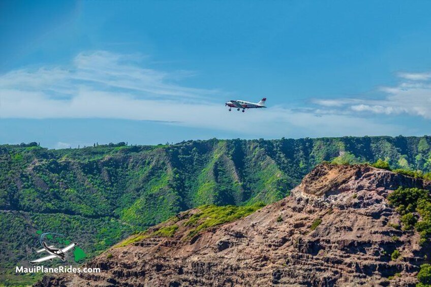 A spectacular Half-Hour Photo Opportunity of a Lifetime! 