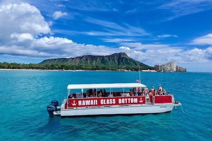 Bådtur i Waikiki om dagen