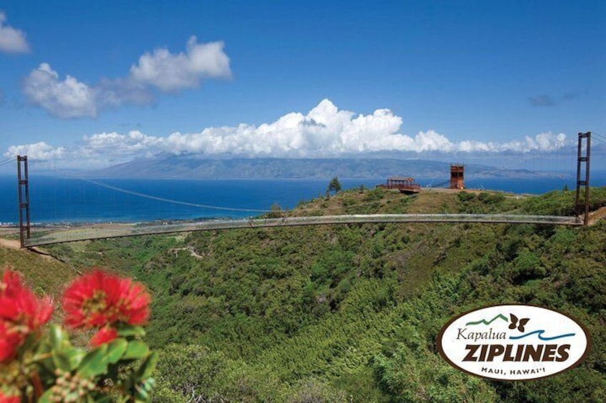 6 Dual-Zipline Mountain Adventure in Maui