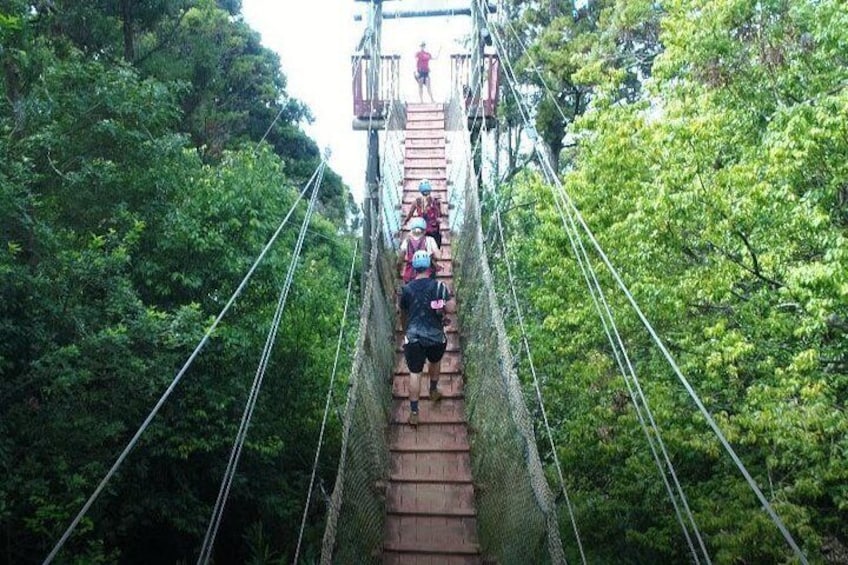 6 Dual-Zipline Mountain Adventure in Maui