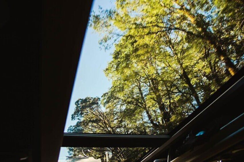 Option to upgrade to a glass-roof van for a gold-class experience 