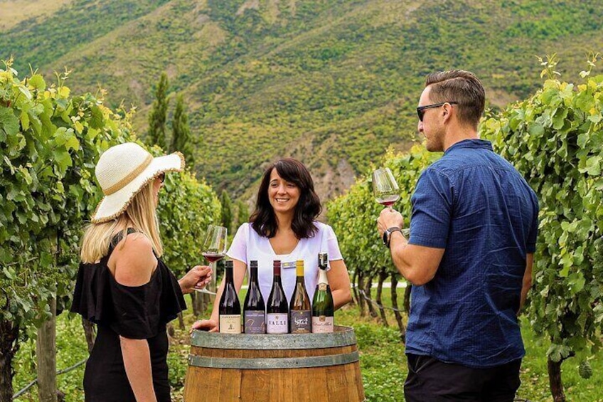 Enjoy wine tastings at three premium vineyards.