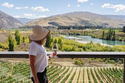 Central Otago Wine Tour vanuit Queenstown - inclusief 4 wijngaarden, lunch ...