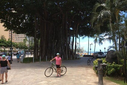 Historical Honolulu Bike Tour