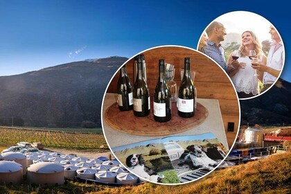 Valley of the Vines Afternoon Wine Tour | Adults Only | Small Group