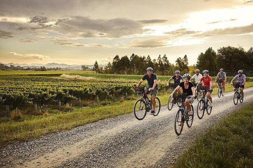 Biking by the river and vines