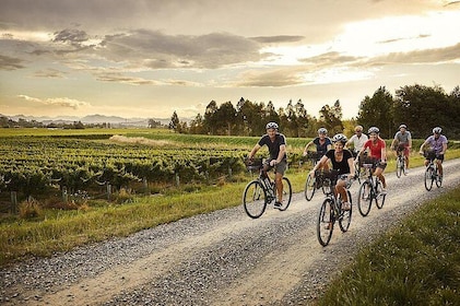 Self-Guided Biking Wine Tour (full day) in the Marlborough Region.
