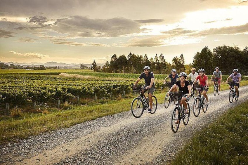 Self-Guided Biking Wine Tour