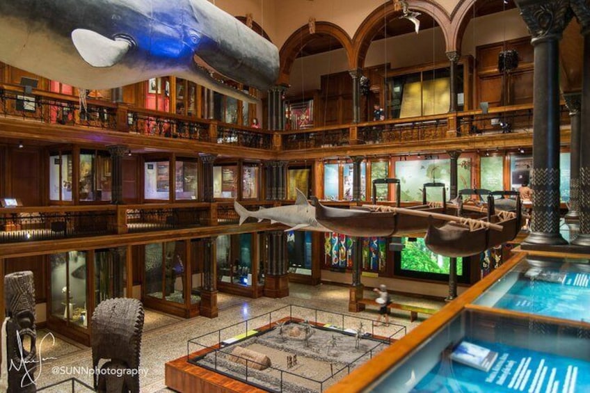 Bishop Museum General Admission Ticket