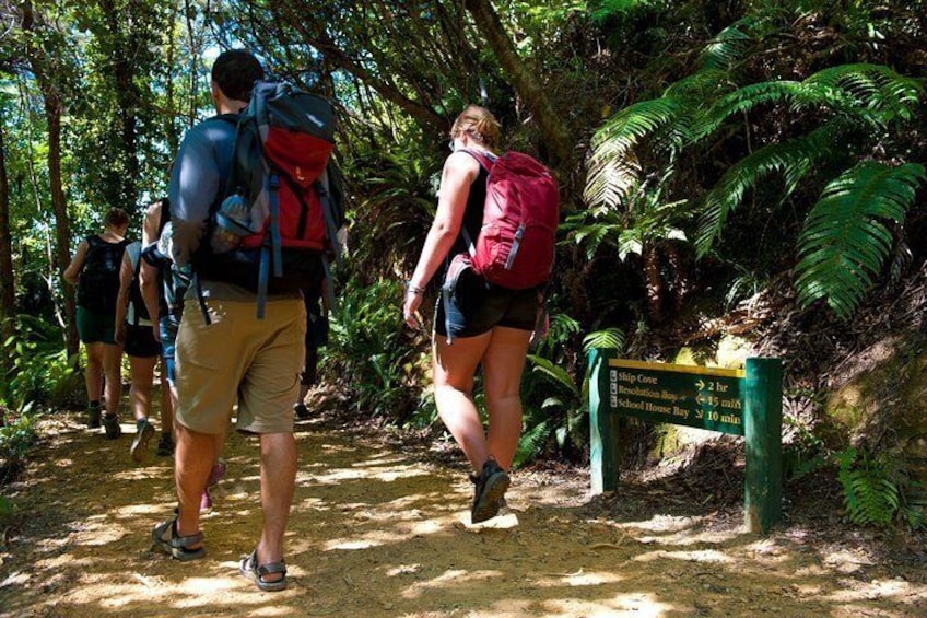 Walking the Queen Charlotte Track
