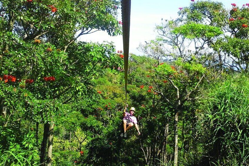 Big Island Zipline Adventure - 2 1/2 hours